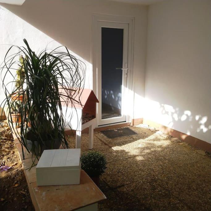Carlchens Casa Appartement Reinhardshagen Buitenkant foto